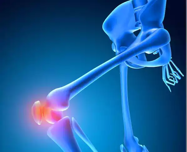 Robotic Knee Prosthesis
