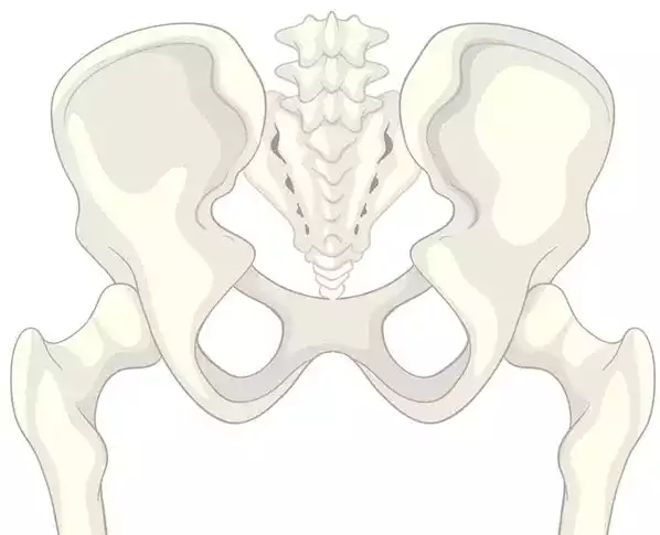 Hip Fractures
